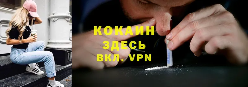 Cocaine Fish Scale  наркошоп  Карабаново 